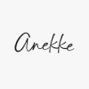 Anekke IT